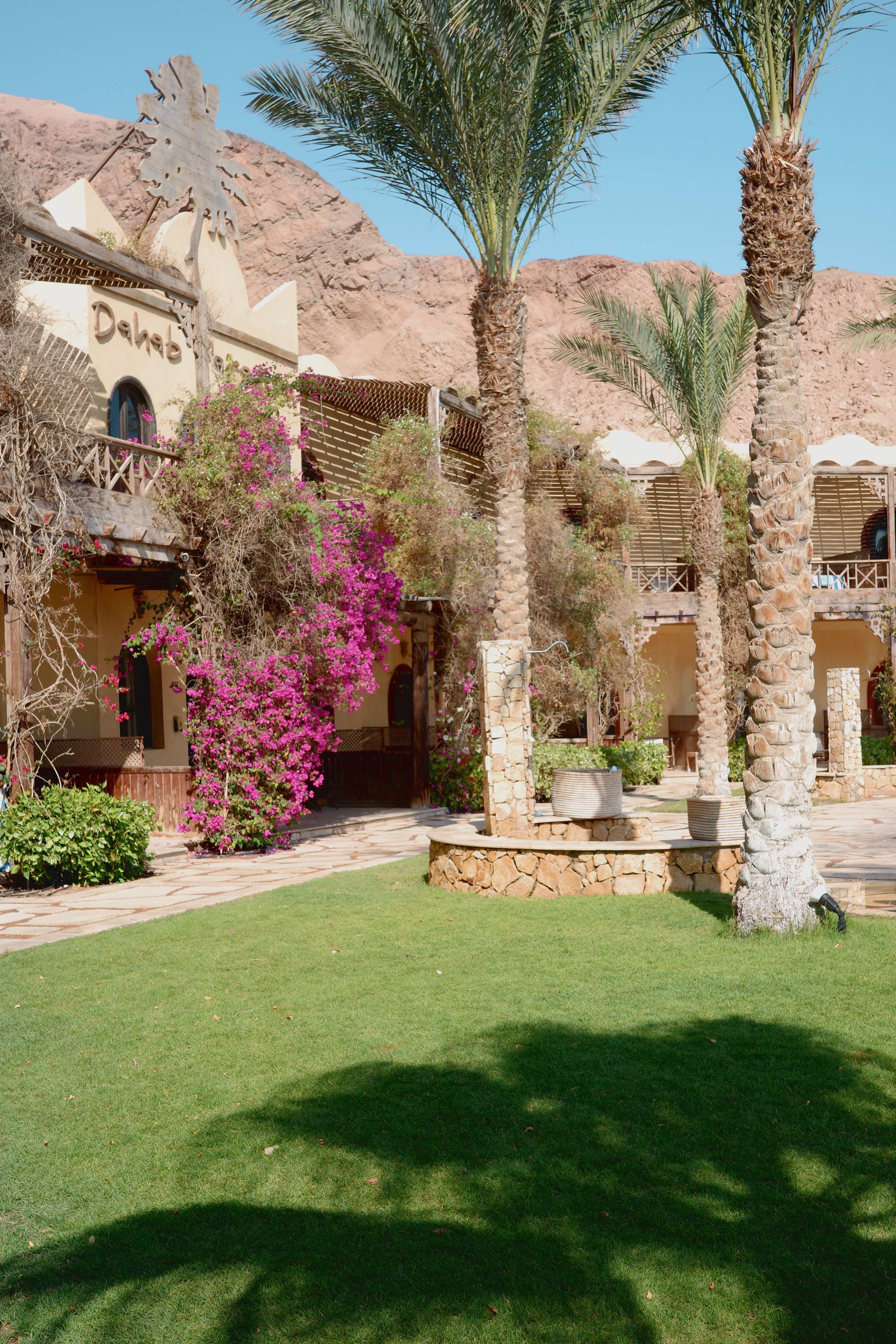 Dahab Paradise entrance with bougainvillea and stone architecture