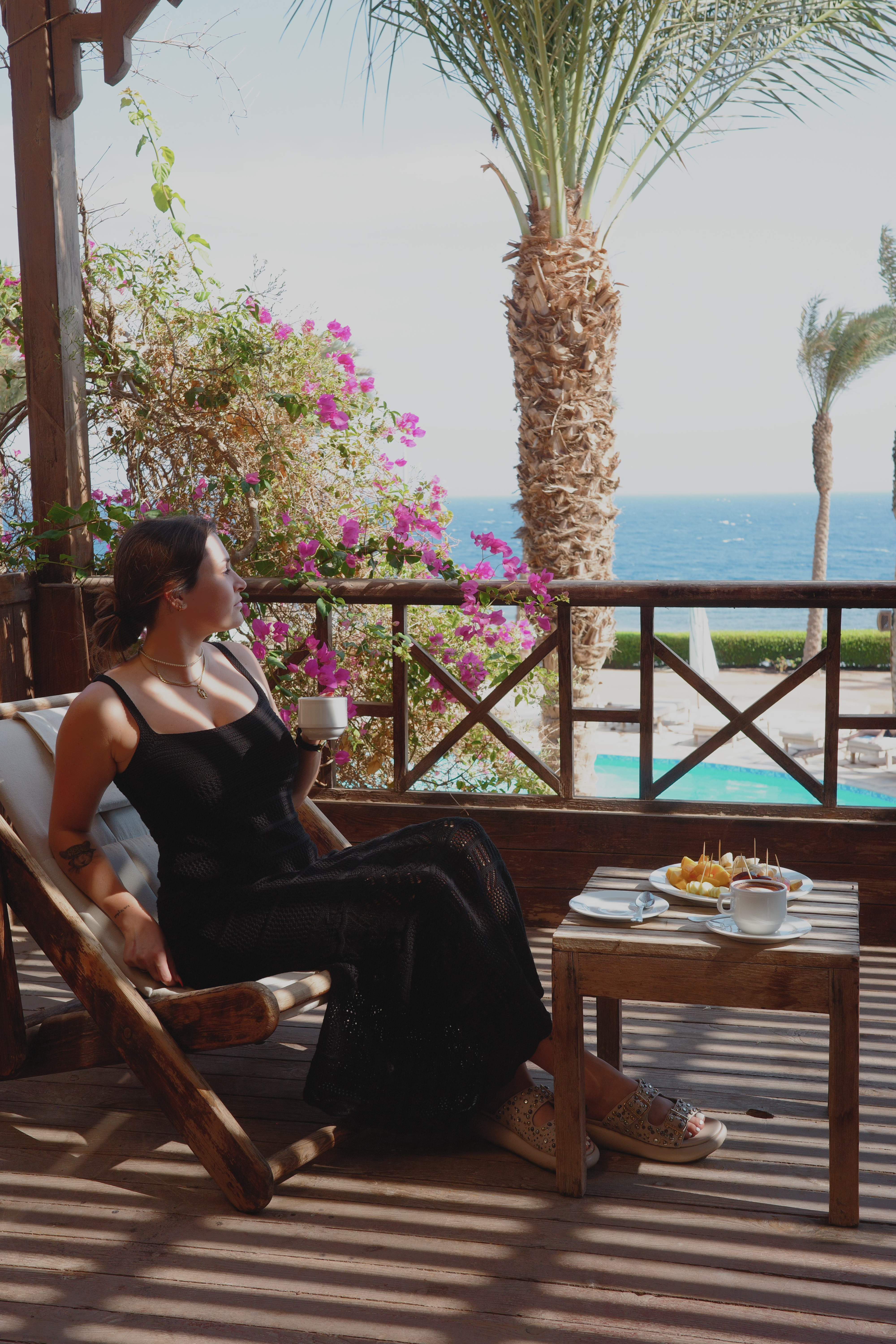 Drift Dahab entrance with palm trees