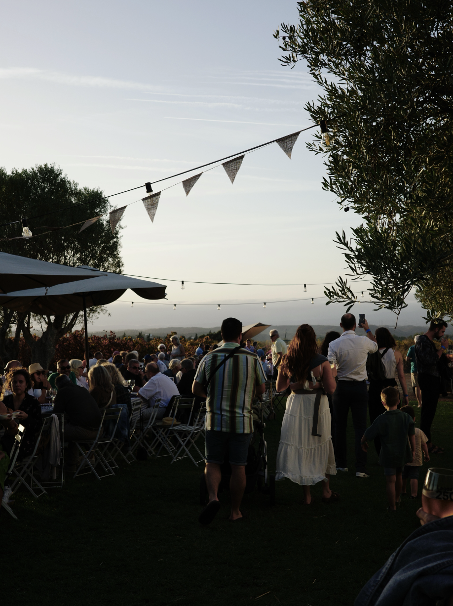 Outdoor event at sunset with vineyard views