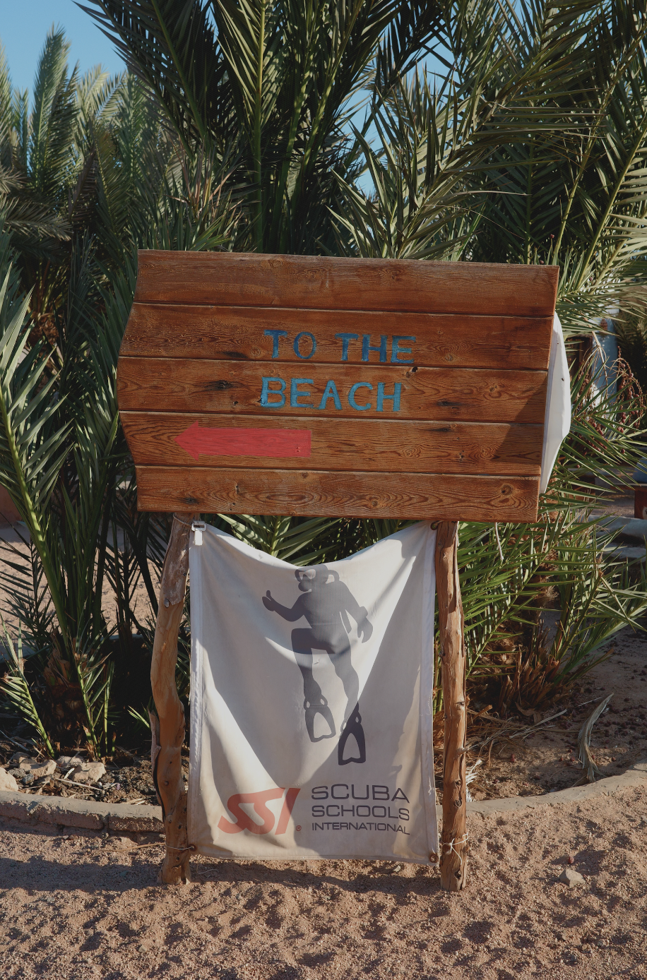Beach direction sign with palm trees