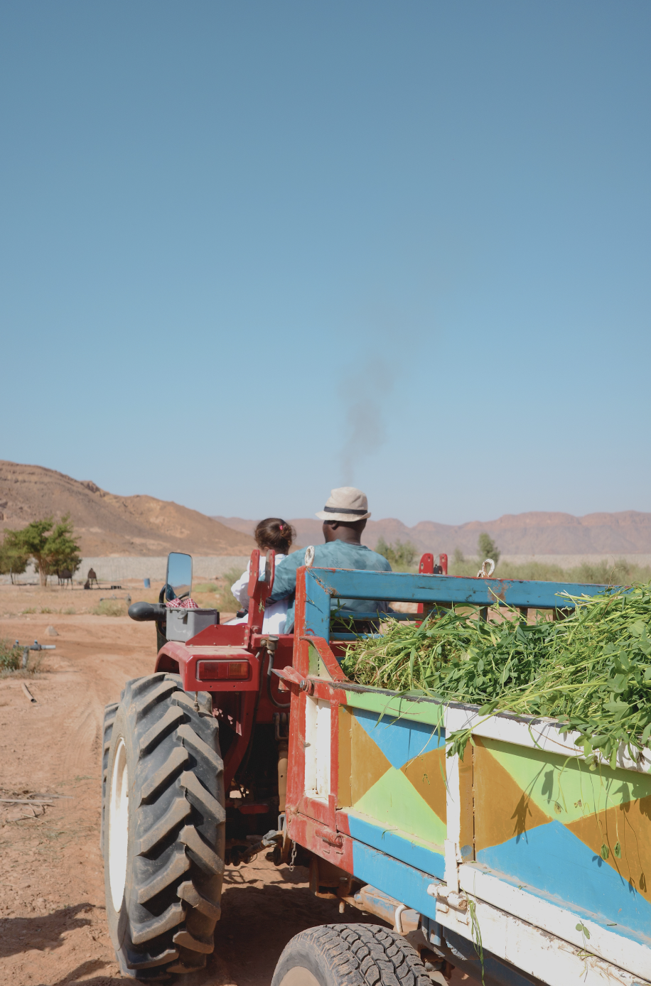 Farm tractor with fresh produce